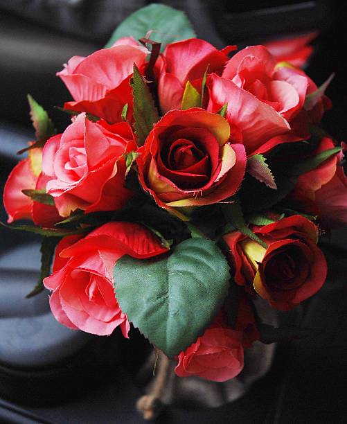 istock Petals of roses on a white background 472212147