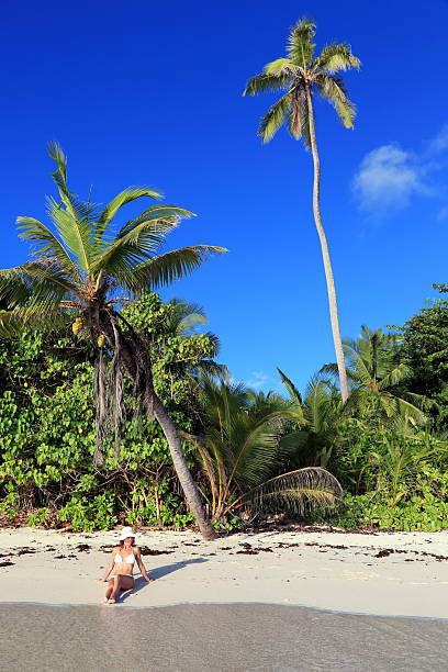 istock Enjoying the beautiful beach 472213783