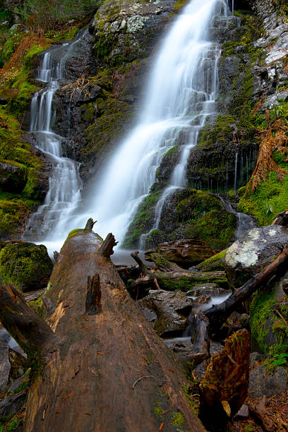 cachoeira tranquilo - photogs - fotografias e filmes do acervo