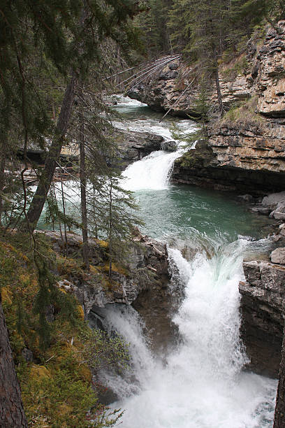 Falls in Johnston Canyon stock photo