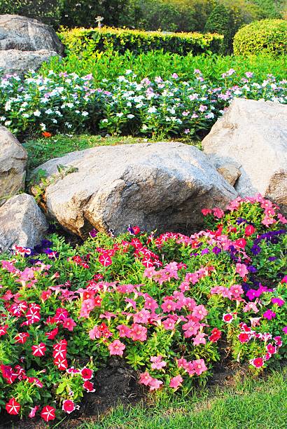 istock Garden in  public park in  Thailand 472214517