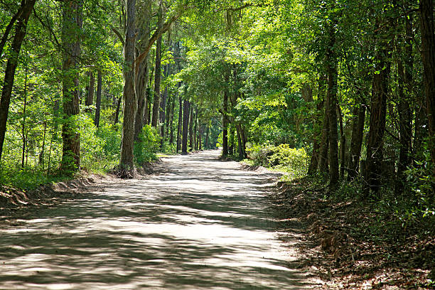 Walking through Daufuskie Island