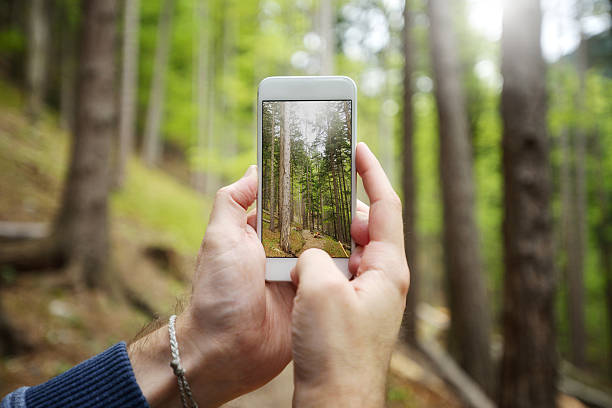 istock Hands taking photograph with a smart phone in the nature 472214696