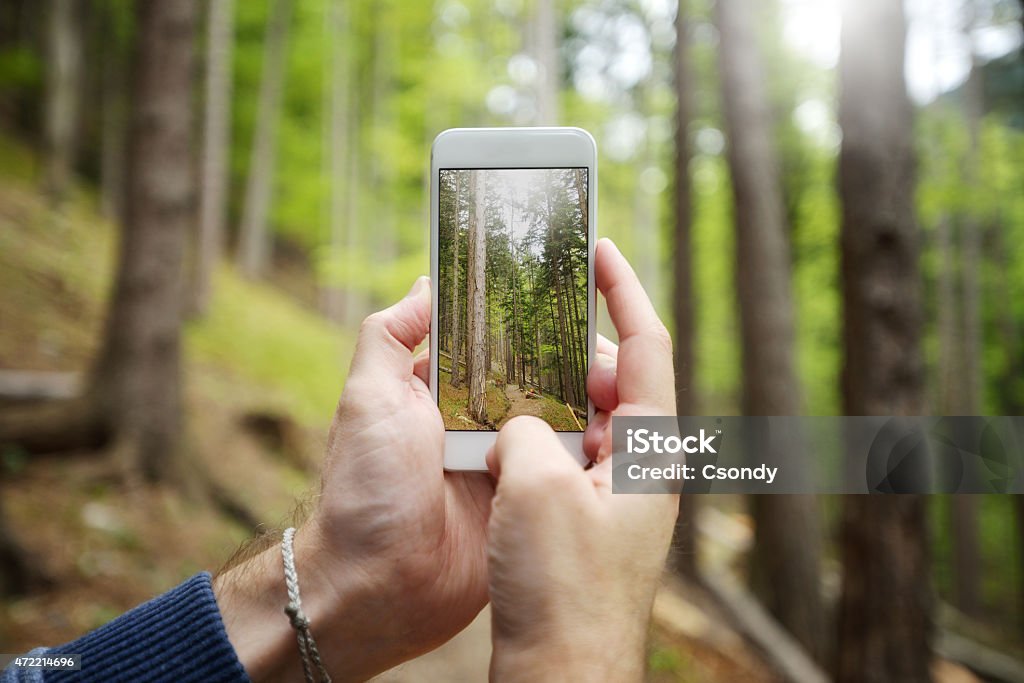 Hands taking photograph with a smart phone in the nature Close up from a man's hand taking picture with a smart phone in the forest. 2015 Stock Photo