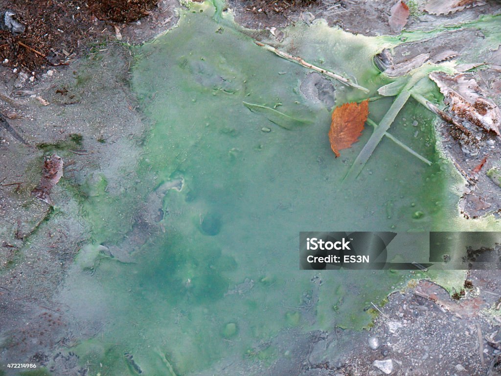 Cyanobacteria microbial mat in thermal spring Close-up view of bacteria mat in the water of Yumoto onsen, Yunodaira marsh, Japan 2015 Stock Photo