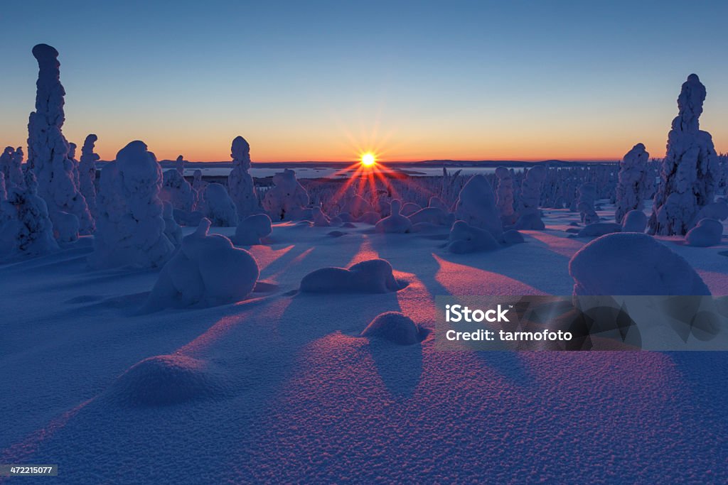 Lapland_3 Winter landscape at sunrise in Finnish Lapland, Riisitunturi National Park. Remote Location Stock Photo
