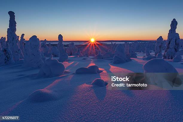 Lapland3 Stock Photo - Download Image Now - Remote Location, Riisitunturi National Park, Snowmobiling