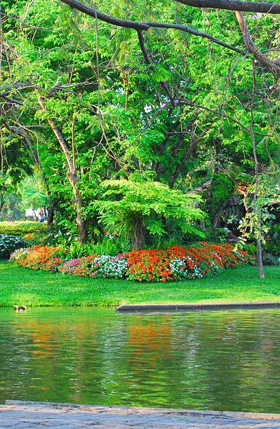istock Garden in  public park in  Thailand 472217347