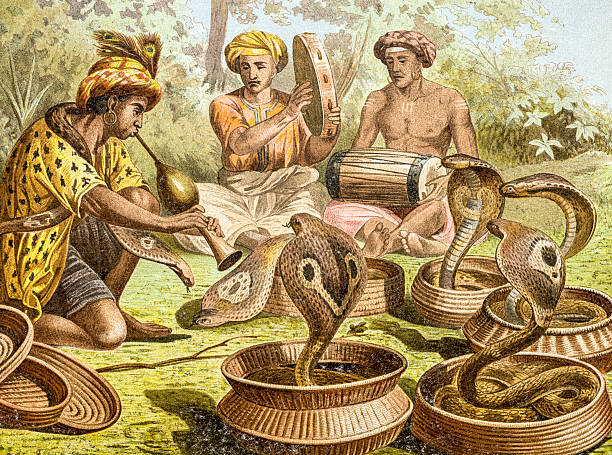 alte farbe illustration von indischen cobra (naja naja) - cobra people india snake stock-grafiken, -clipart, -cartoons und -symbole