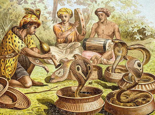 그림 앤틱형 백색과 인도어 cobra (naja naja - cobra people india snake stock illustrations