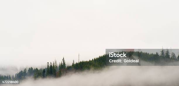 Misty Afternoon Stock Photo - Download Image Now - 2015, Cold Temperature, Day