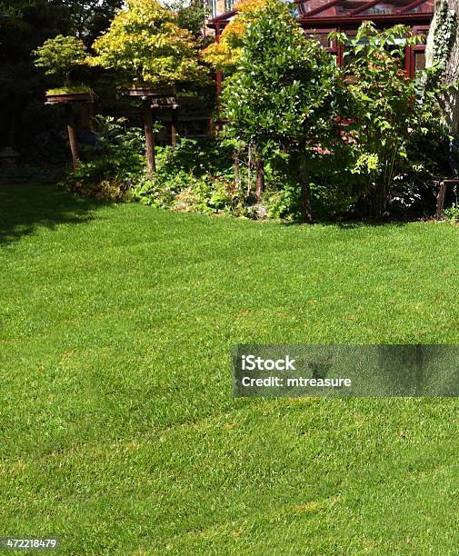 Newly Turfed Lawn Stock Photo - Download Image Now - Botany, Cement Mixer, Color Image