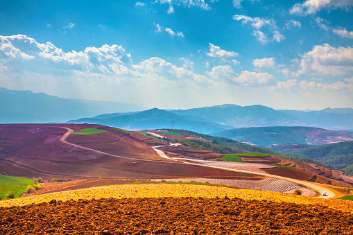 Colorful field in spring.The town of Red Land,DongChuan,YunNan,China.