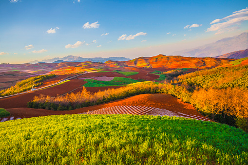 Colorful field in spring.The town of Red Land,DongChuan,YunNan,China.