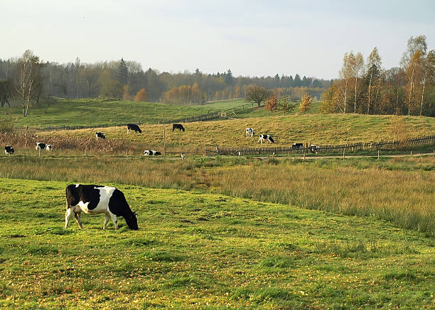 istock Colorful autumn landscape with farm 472221339