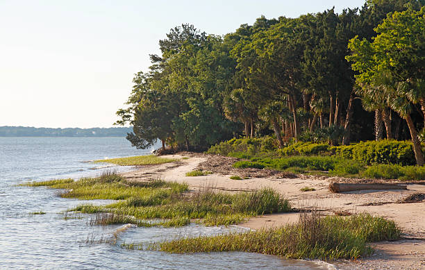 Daufuskie Island