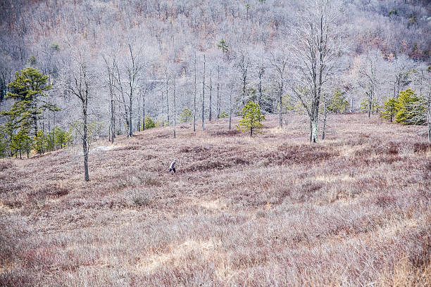 jovem homem de caminhadas na floresta de montanha no início da primavera - the poconos region - fotografias e filmes do acervo