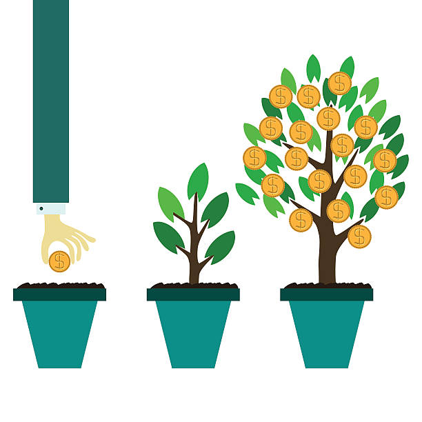 Vector money tree growth concept in flat style vector art illustration