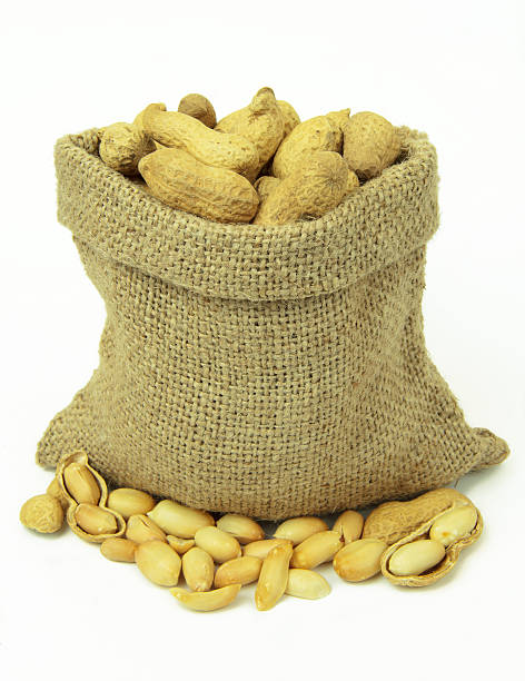 istock Peanuts in linen sack isolated on white background. 472224881