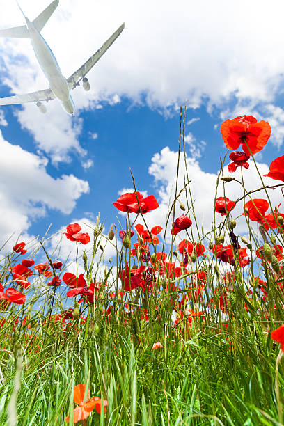istock Plane over red poppy flowers 472226153