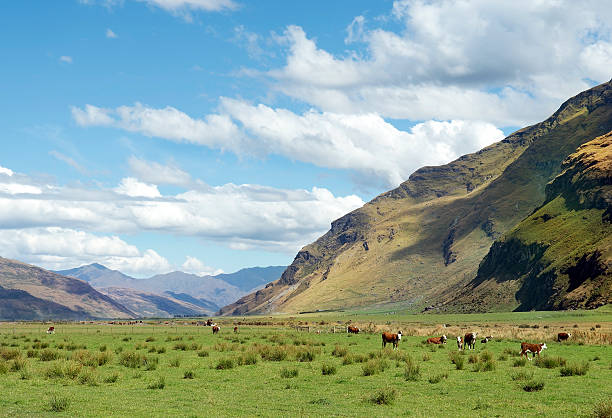 istock Fabulous scenery in New Zealand 472226301