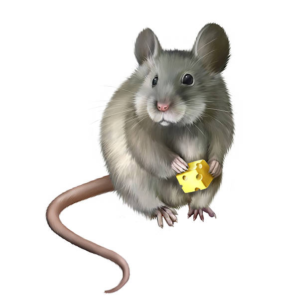 Firewall as a Giant Cookie Jar concept 3d rendered image. A giant cookie jar sits on a kitchen table. Label reads “Secure Cookies”. The cute 3D character Mouse hackers found a jar of cookies. Funny illustration for cyber security. Internet data protection idea.