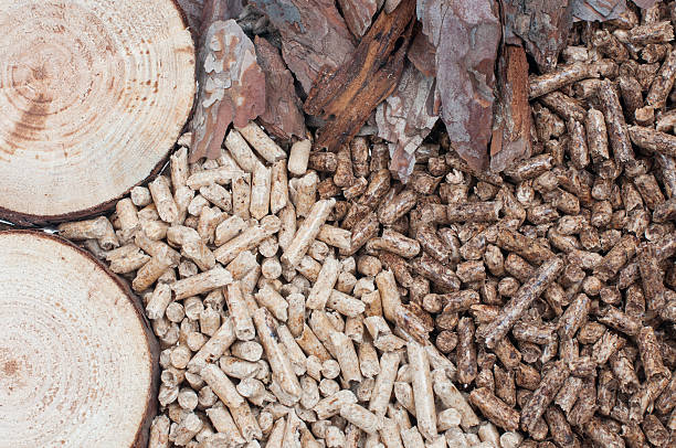 biomassa - wood pellet - fotografias e filmes do acervo