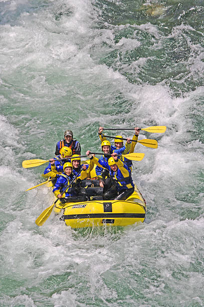 rafting - sports team sport rowing teamwork rafting imagens e fotografias de stock