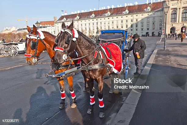 Photo libre de droit de Le Chauffeur Fiaker Est Habillé Comme Santa Claus banque d'images et plus d'images libres de droit de Architecture - Architecture, Autriche, Capitales internationales