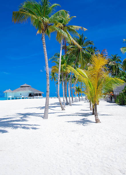 istock Perfect Day on the Beach 472235980