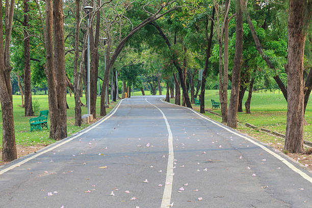 istock Walkway in garden city park 472237090
