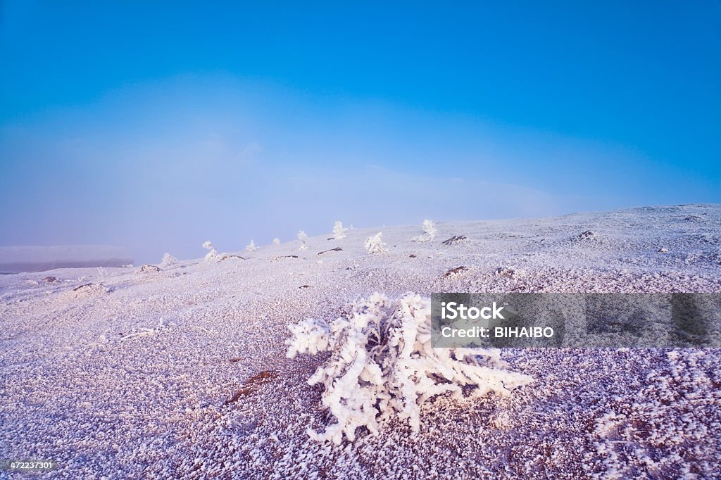 Paysages d'hiver - Photo de Asie libre de droits