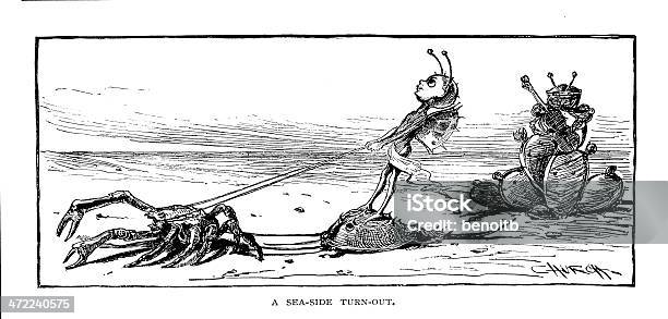 Sea Side Stroll Stock Illustration - Download Image Now - Horseshoe Crab, Illustration, 19th Century Style