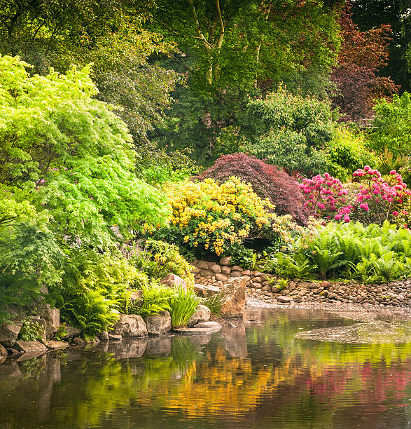 Garden full of the  flowers