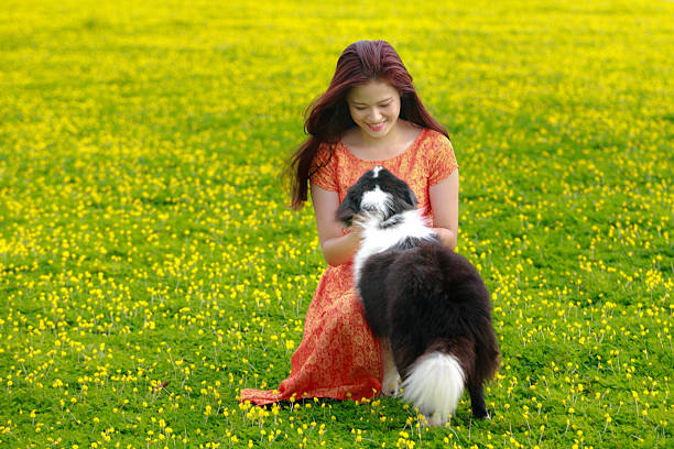 istock Cute  girl with her Dog in park. 472249880