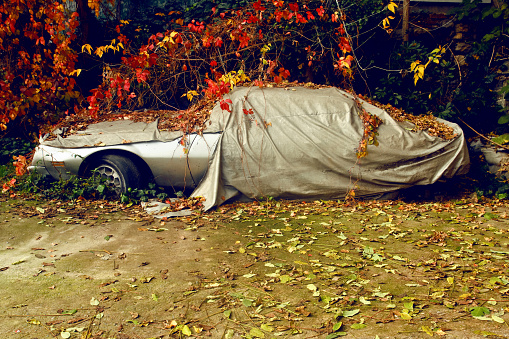 old car wrapped with tear cover.