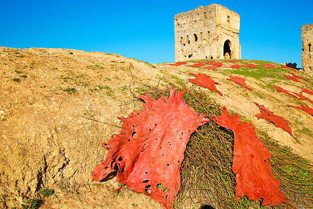old construction in africa morocco and red leather near the tower