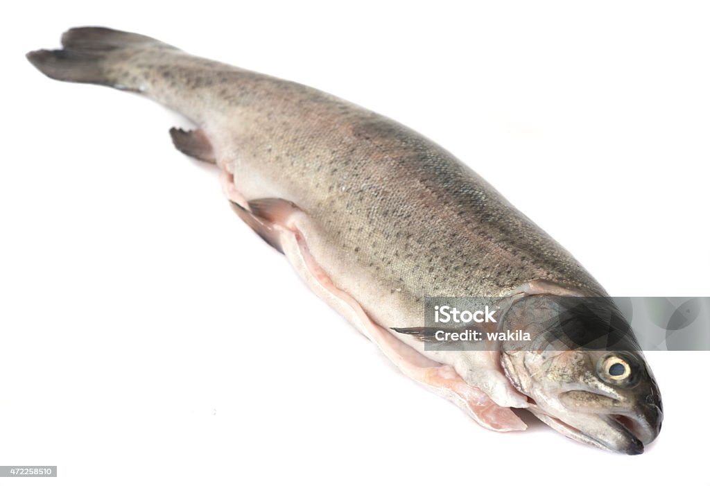 trout pear - tote trout Silo of a trout, fish Fish Stock Photo