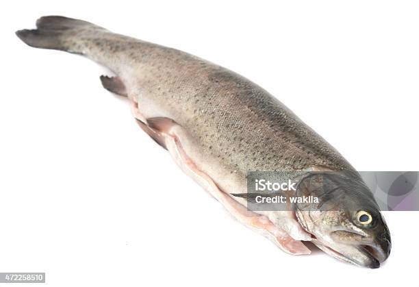 Trout Pear Tote Trout Stock Photo - Download Image Now - Fish, Rotting, Anglerfish
