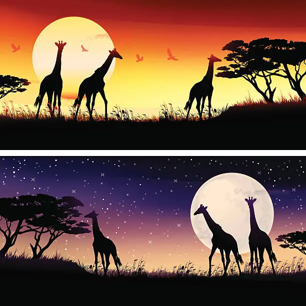 Vector illustration of African Giraffes silhouettes safari illustrations set