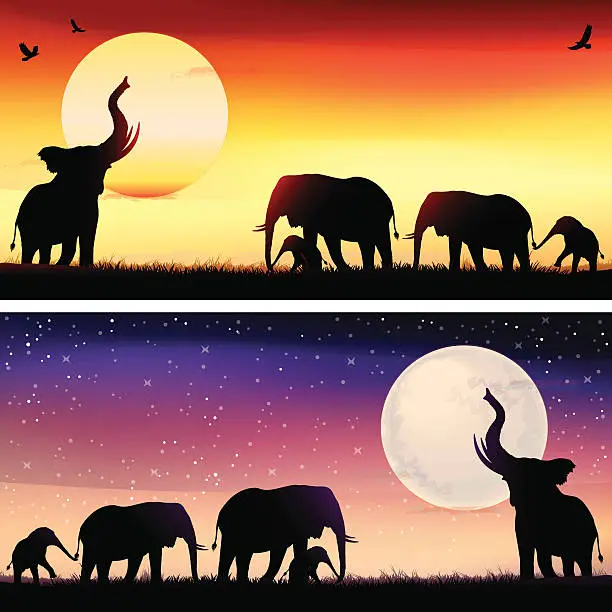 Vector illustration of African Elephants silhouettes safari illustrations set