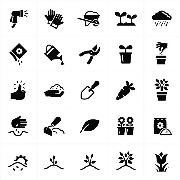 ilustraciones, imágenes clip art, dibujos animados e iconos de stock de iconos de jardinería y plantas - vegetable garden planting environment human hand