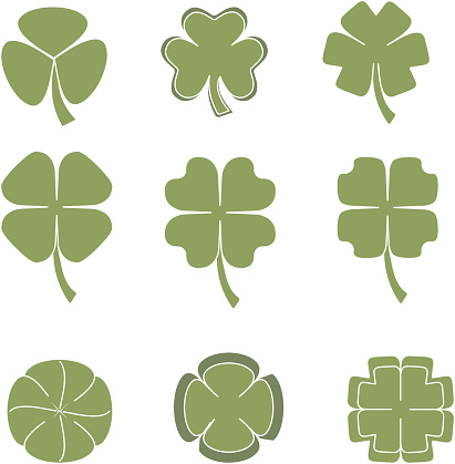 choose what clover suits you