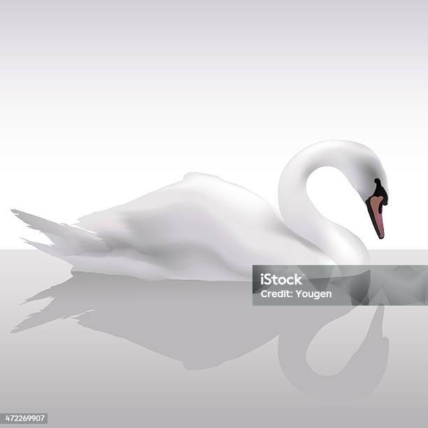 Cisne Fantástico Vector - Arte vetorial de stock e mais imagens de Cisne - Cisne, Branco, Animal