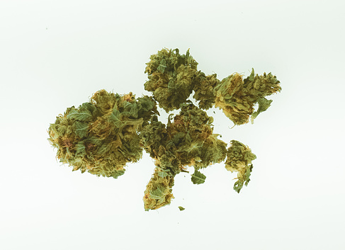 dried marijuana bud isolated