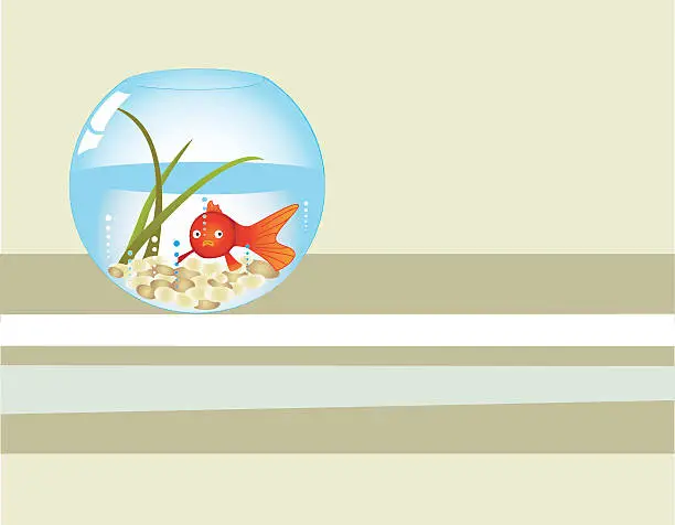 Vector illustration of Minimalist  Aquarium