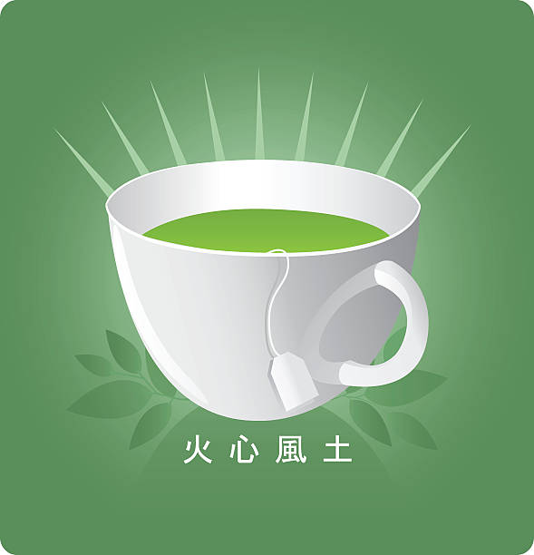 zielona herbata [ wektor ] - green tea tea teabag green stock illustrations