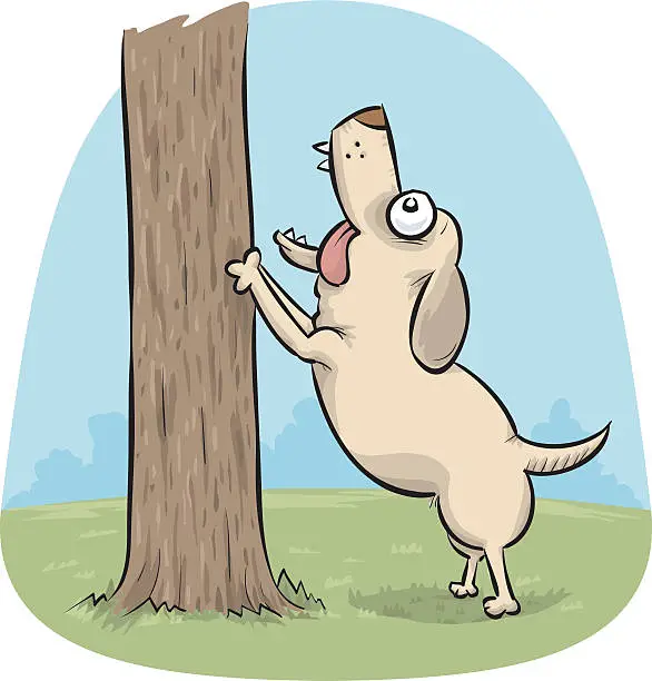Vector illustration of Barking Up a Tree