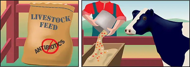 Vector illustration of Antibiotics in dairy products