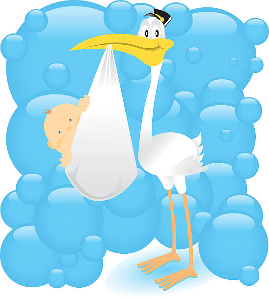 It's a boy!! It's a boy!! stork carrying baby girl stock illustrations